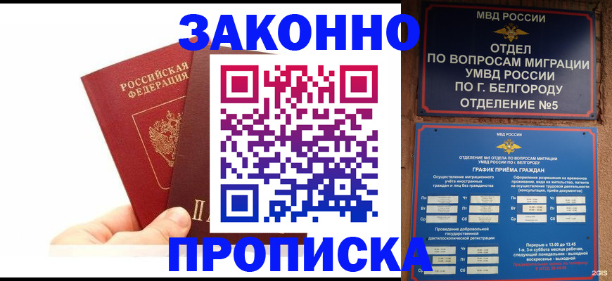 временная регистрация для школы в Жуковском
